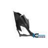 Panneau latéral de carénage Racing gauche BMW S 1000 RR (19-22)Ilmberger Carbon