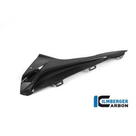 Partie supérieure du carénage latéral (côté gauche) BMW S 1000 RR (15-18)Ilmberger Carbon