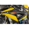 Panneau latéral de carénage Racing (côté gauche) - BMW S 1000 RR (15-18)Ilmberger Carbon