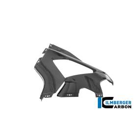 Panneau latéral de carénage gauche Racing BMW M1000RR - Ilmberger Carbon