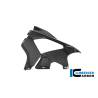 Panneau latéral de carénage gauche Racing BMW M1000RR - Ilmberger Carbon