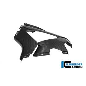 Panneau latéral de carénage gauche Racing BMW M1000RR - Ilmberger Carbon