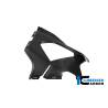 Panneau latéral de carénage gauche Racing BMW M1000RR - Ilmberger Carbon