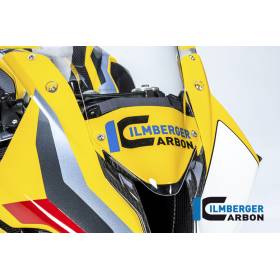 Carénage avant monobloc - M1000RR (21-22) - Ilmberger Carbon