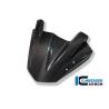 Pare-brise – BMW K 1200 R / (K 1200 R / K 1300 R - Ilmberger Carbon