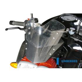 Pare-brise – BMW K 1200 R / (K 1200 R / K 1300 R - Ilmberger Carbon