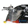 Pare-brise – BMW K 1200 R / (K 1200 R / K 1300 R - Ilmberger Carbon