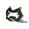 Carénage avant - BMW K 1300 S (K 1300 S (ab 2008) - Ilmberger Carbon