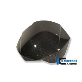 Pare-brise - BMW F 800 R (2009-2014) (F 800 R (2009-2011), F 800 R (2012-2014) - Ilmberger Carbon