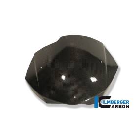 Pare-brise - BMW F 800 R (2009-2014) (F 800 R (2009-2011), F 800 R (2012-2014) - Ilmberger Carbon