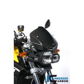 Pare-brise - BMW F 800 R (2009-2014) (F 800 R (2009-2011), F 800 R (2012-2014) - Ilmberger Carbon