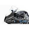 Carénage avant (1 pièce) BMW S 1000 RR à partir de MY 2019 (S 1000 RR Racing (2019-2022) - Ilmberger Carbon