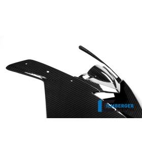 Carénage avant carbone - BMW S 1000 RR - Ilmberger Carbon