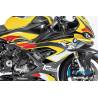 CARÉNAGE LATÉRAL (DROIT) - BMW M1000 RR Racing (M 1000 RR Racing (2021-2022) - Ilmberger Carbon
