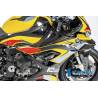 CARÉNAGE LATÉRAL (DROIT) - BMW M1000 RR Racing (M 1000 RR Racing (2021-2022) - Ilmberger Carbon