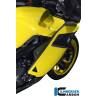 Panneau latéral gauche BMW K 1200 S (K 1200 S (2005-2008) - Ilmberger Carbon