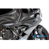 Panneau latéral de carénage Racing droit BMW S 1000 RR MY à partir de 2019 (S 1000 RR Racing (2019-2022) - Ilmberger Carbon