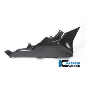 Sabot moteur Street Version longue - BMW S 1000 RR ´17 (S 1000 RR Strasse (2017-2018) - Ilmberger Carbon