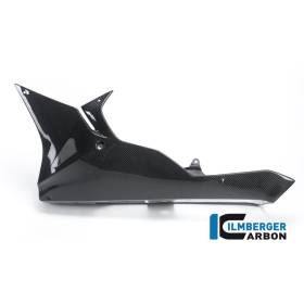 Sabot moteur Street Version longue - BMW S 1000 RR ´17 (S 1000 RR Strasse (2017-2018) - Ilmberger Carbon