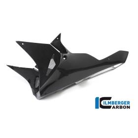 Sabot moteur Street Version longue - BMW S 1000 RR ´17 (S 1000 RR Strasse (2017-2018) - Ilmberger Carbon