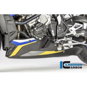 Sabot moteur - BMW S 1000 R (à partir de 2017) (S 1000 R (ab 2017) - Ilmberger Carbon