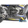 Sabot moteur - BMW S 1000 R (à partir de 2017) (S 1000 R (ab 2017) - Ilmberger Carbon