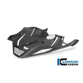 Sabot moteur - BMW S 1000 R (à partir de 2017) (S 1000 R (ab 2017) - Ilmberger Carbon
