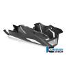 Sabot moteur - BMW S 1000 R (à partir de 2017) (S 1000 R (ab 2017) - Ilmberger Carbon