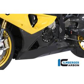 Pare-brise monobloc - BMW S 1000 RR - Ilmberger Carbon