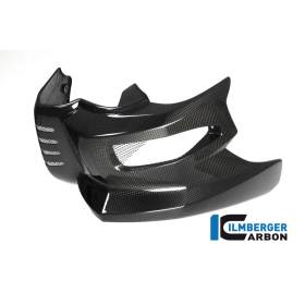 Pare-chocs BMW F 800 R (2009-2014) / S (2006-aujourd'hui) / ST (2006-aujourd'hui) / GT (F 800 R (ab 2015) - Ilmberger Carbon