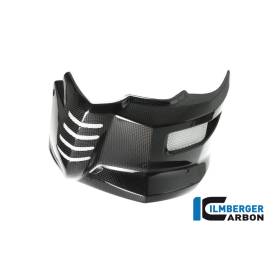 Pare-chocs BMW F 800 R (2009-2014) / S (2006-aujourd'hui) / ST (2006-aujourd'hui) / GT (F 800 R (ab 2015) - Ilmberger Carbon