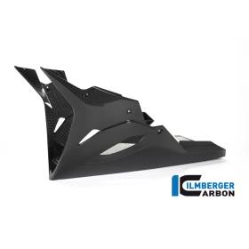 Sabot moteur Racing BMW M 1000 RR / S 1000 RRIlmberger Carbon