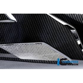 Sabot moteur - BMW S 1000 R (S 1000 R (2014-2016) - Ilmberger Carbon