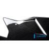 Sabot moteur - BMW S 1000 R (S 1000 R (2014-2016) - Ilmberger Carbon