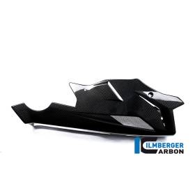 Sabot moteur - BMW S 1000 R (S 1000 R (2014-2016) - Ilmberger Carbon