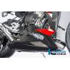 Sabot moteur - BMW S 1000 R (S 1000 R (2014-2016) - Ilmberger Carbon