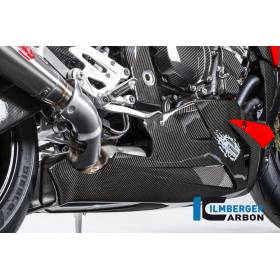 Sabot moteur - BMW S 1000 R (S 1000 R (2014-2016) - Ilmberger Carbon