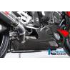 Sabot moteur - BMW S 1000 R (S 1000 R (2014-2016) - Ilmberger Carbon