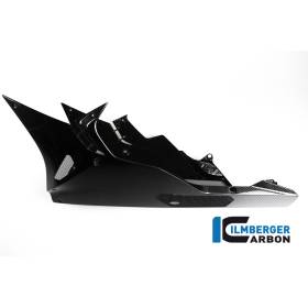 Rue Sabot moteur - BMW S 1000 RR (à partir de 2015) (S 1000 RR Strasse (2015-2016) - Ilmberger Carbon