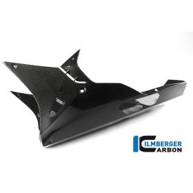 Sabot moteur - BMW S 1000 RR (à partir de 2015) (S 1000 RR Strasse (2015-2016) - Ilmberger Carbon