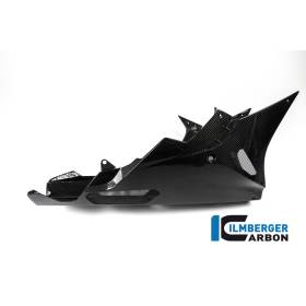 Rue Sabot moteur - BMW S 1000 RR (à partir de 2015) (S 1000 RR Strasse (2015-2016) - Ilmberger Carbon