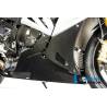 Rue Sabot moteur - BMW S 1000 RR (à partir de 2015) (S 1000 RR Strasse (2015-2016) - Ilmberger Carbon