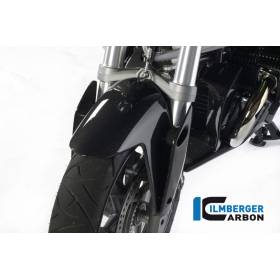 Jeu de bavettes anti-vent sur garde-boue avant - BMW R 1200 R (2007-2014) (R 1200 R (2011-2014) - Ilmberger Carbon