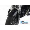 Jeu de bavettes anti-vent sur garde-boue avant - BMW R 1200 R (2007-2014) (R 1200 R (2011-2014) - Ilmberger Carbon