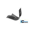 Aileron gauche BMW M1000RR - Ilmberger Carbon