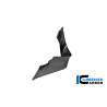 Aileron gauche BMW M1000RR - Ilmberger Carbon