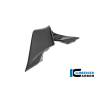 Aileron droit BMW M1000RR - Ilmberger Carbon
