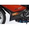 Sabot moteur gauche – BMW F 800 GT (2012-aujourd'hui) (F 800 GT (ab 2012) - Ilmberger Carbon