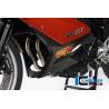Sabot moteur gauche – BMW F 800 GT (2012-aujourd'hui) (F 800 GT (ab 2012) - Ilmberger Carbon