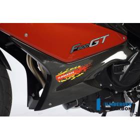 Sabot moteur gauche – BMW F 800 GT (2012-aujourd'hui) (F 800 GT (ab 2012) - Ilmberger Carbon